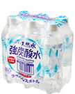 伊賀の天然水強炭酸水 500mlペット（6本パック）